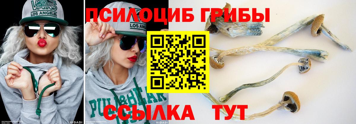 Псилоцибиновые грибы ЛСД  Вход с VPN  где купить наркотик  Корсаков 