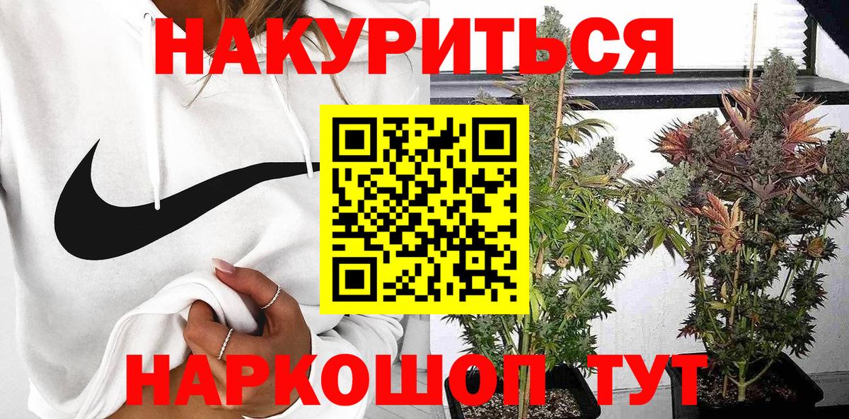 Бошки марихуана сатива  МАРИХУАНА марихуана  Шишки марихуана сатива  Вход с VPN  Корсаков 